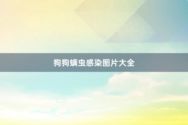 狗狗螨虫感染图片大全