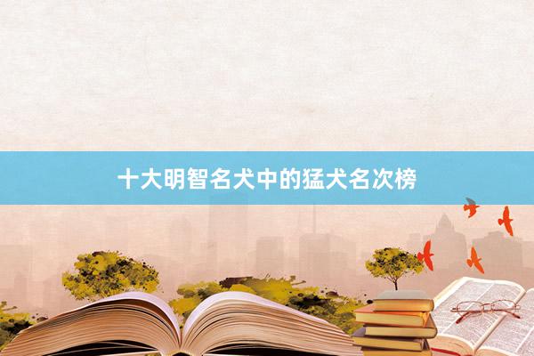 十大明智名犬中的猛犬名次榜