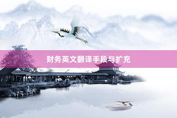 财务英文翻译手段与扩充